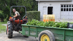 Farm-to-table movement flourishes via local-first philosophy
