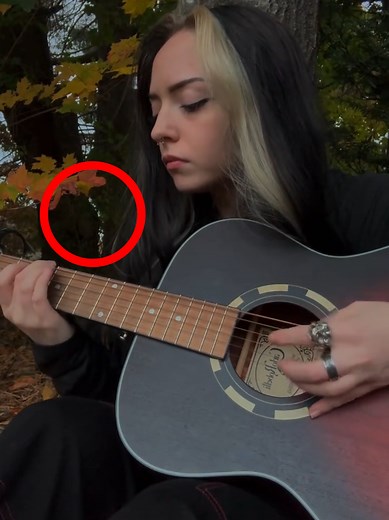 Misterio en el Bosque Apalache: ¿Qué Sucedió?