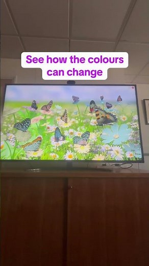 How to Change Colours and Music in HelpKidzLearn's Sensory Space
