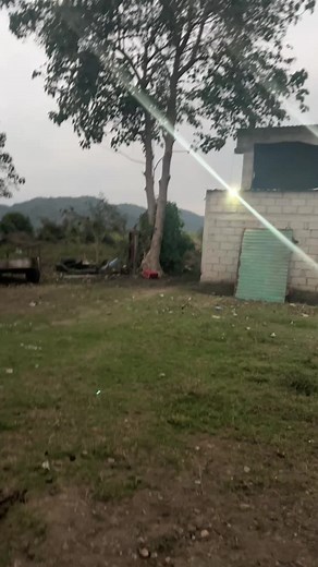 Entre más alta, mejor salta: Humor y tortugas