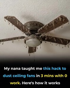 My nana taught me this hack to dust ceiling fans in 3 mins with 0 work. Here’s how it works. Full article 👇 💬 | Feedy DIY