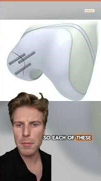 This company actually uses real human bone to repair broken or damaged bones.