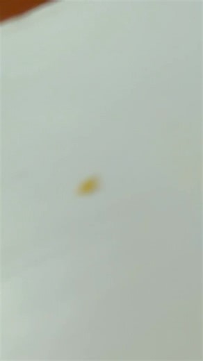 Centro Vasco Anaitasuna on Reels