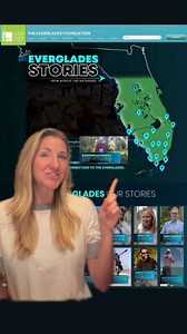Have you explored the #EvergladesStories interactive webpage yet? 📍 Journey through its map of Florida, across the Everglades watershed, and click on the icons to view real stories from real people connected through the Everglades. 🌎 Watch them all at https://www.evergladesfoundation.org/stories and share with us your favorite #EvergladesStory 💚 | Everglades Foundation