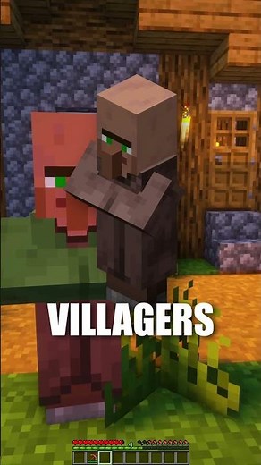 Did You Know This About Villagers In Minecraft