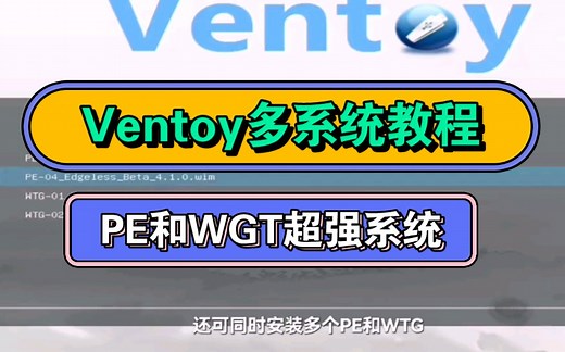 Ventoy多系统教程，可引导多个PE和WinToGo~