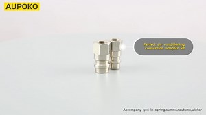 Watch R12 R22 to R134A AC Retrofit High/Low Fitting Adapter Kit on Amazon Live