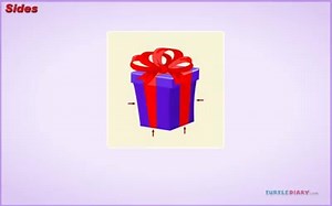 Kids Educational Video | Sides of a Shape by Turtlediary.com | TurtleDiary