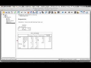 Frekvenstabell i SPSS