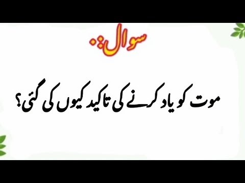 Top Islamic Question Answer _islamic Quiz_islamic trivia _gernal knowledge _Gk