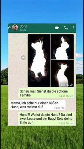 Chatmaster #17 #funny #whatsappchat