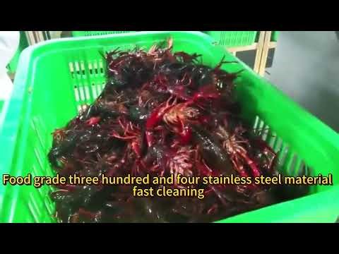ndustrial Automatic Crayfish Bubble Washing Machine, with High-Pressure Oxygen Sterilization