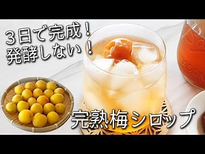 ３日で完成！発酵 しない【梅ジュース（梅シロップ）作り方】キズ梅の救済レシピ・梅 シロップ の残った梅の活用術 完熟 梅 シロップ 発酵させない 効果