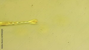 Drops of motor oil splash on the oil surface. Slow motion