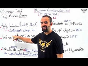 CPC M1A1 Das Normas Fundamentais do Processo Civil