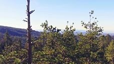 194K views · 505 reactions | When family time is adventure time, it's best to be prepared. | National Geographic Science | Facebook