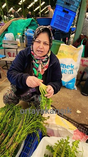 How to cook wild chicory, recipe from our producer 🧿 - April 15, 2026 - #viral #discover #short