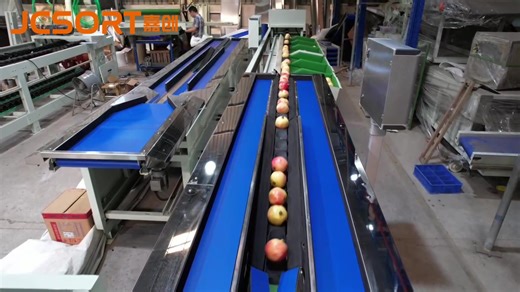 Boost your pomegranate processing efficiency with our Pomegranate Weight Grading Machine! ✔ High-precision weighing ✔ Automatic multi-grade sorting ✔ Gentle fruit handling ✔ Ideal for packing lines Upgrade your fruit grading today! #PomegranateSorting #FruitGradingMachine #WeightSorter #AgTech #FoodProcessing Pomegranate weight sorting machine #sorting #grading #fruitsorting #fruitgrading #fruit #jcsort #pomegranate #jcsort #sorting #grading #sizing