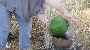 Woman Spill Mussels Shells Bowl Into: стоковое видео (без лицензионных платежей), 1086735029 | Shutterstock
