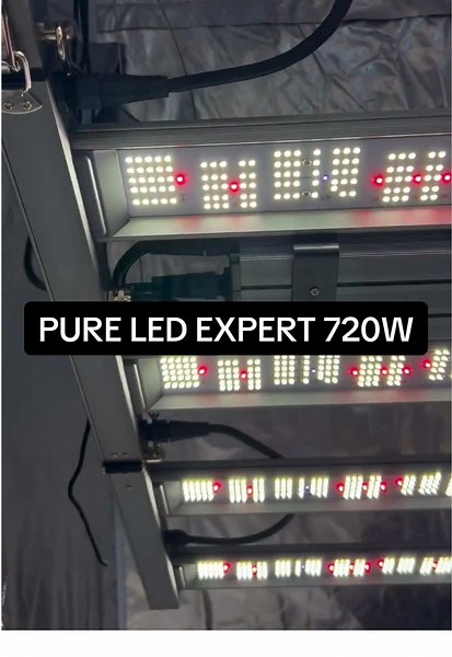 Ilumina tus plantas como un experto con PURE LED EXPERT 720W