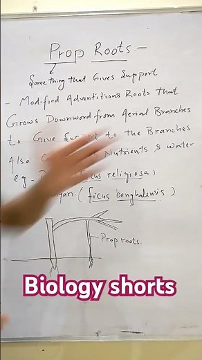 What are Prop Roots? Biology shorts| Dr Sam's Biology|