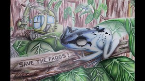 Amphibian populations worldwide are in the midst of a mass extinction crisis, yet most people are completely unaware! We need your help in getting the word out: we encourage all nature lovers to seek out their inner frog artist and participate in the SAVE THE FROGS! Art Contest! People of all ages, nationalities, and skill levels are encouraged to enter the contest, and we hope all schools will draw frog art on Save The Frogs Day! The SAVE THE FROGS! Art Contest invites you to create your cooles