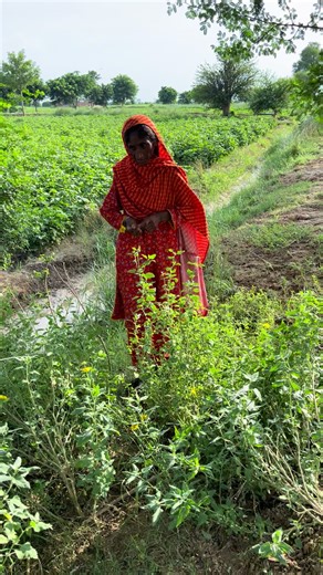 Fatima Queen on TikTok