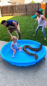 78K views · 329 reactions | Backyard Horror: Parents Rush to Rescue Child from Python | Gardening Joy | Facebook