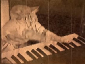 21K views · 115 shares | Keyboard Cat Short Film 4 | Keyboard Cat | Facebook
