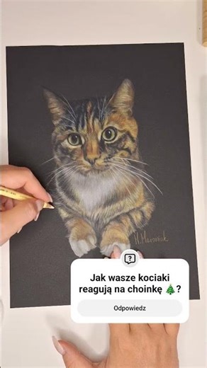 White sounds lofi asmr purring cat realistic colour pencil drawing #artasmr #catmom #nostress #sleep