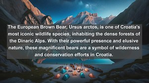 Exploring Croatias Wildlife Wonders: Top 10 Native Animals