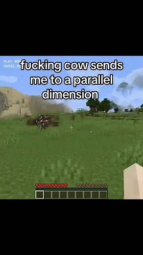 Exploring a Parallel Dimension in Minecraft