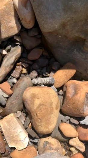 Here is a piece of crinoid that I found along the Jurassic Coast Dorset 🙂🌊🌟💫 #fossil #crinoid #star #fascinatingfossils #jurassiccoast | Fascinating Fossils