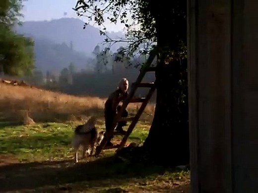 Hallmark Period Movie: Love Comes Softly