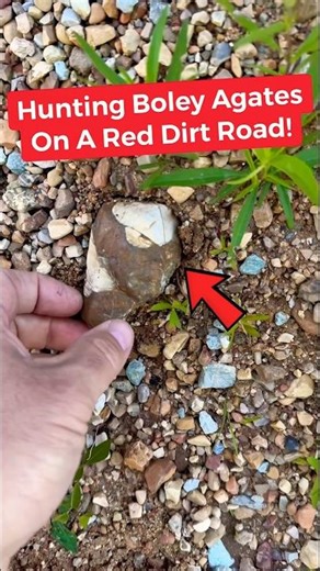 That Green One Almost Made Me Miss This Boley Agate #rockhounding #geology #shorts