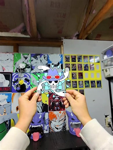 Nico Robin's Jolly Roger: The Devil Child of One Piece