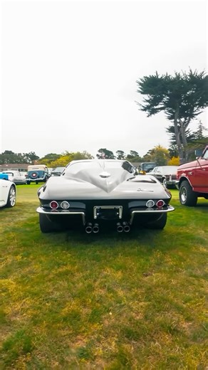 Cluelessz Media on Instagram: "C6 ^^^ Or C2 or wtv this is i love it #corvette #ls #chevy #chevrolet #chevyperformance #v8 #v8engine #v8power #americancars #c2corvette #c2 #c7 #c7stingray #c7corvette #chevroletcorvette #real #classics"