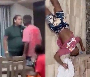 When Acting Tough Goes Wrong: Buddy Barked Up The Wrong Tree and Got Knocked Out With A One Piece!