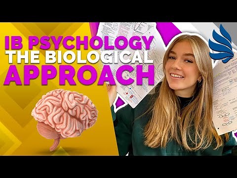 IB Psychology Revision: The Biological Approach (Part 1)
