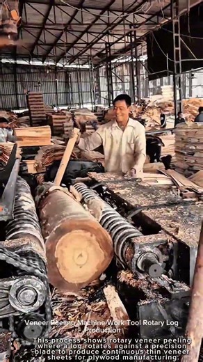 Veneer Peeling Machine Work Tool Rotary Log Production #worktool