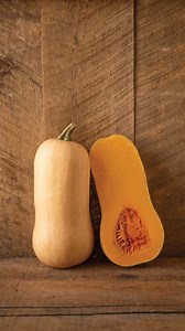 Learn more about one of our newest butternuts from Johnny’s cucurbit breeder, Dr. Lindsay Wyatt. Block Party was named by our Assistant Farm Manager, Jon Ault, who thought its blocky shape was one of its most defining features: this shape not only makes it easier to pack into CSA boxes, but aids food prep because the neck has more flesh than traditional butternuts. Block Party is near and dear to us, and has had several nicknames throughout its development, including ‘Miracle’ and ‘Saint Buttern