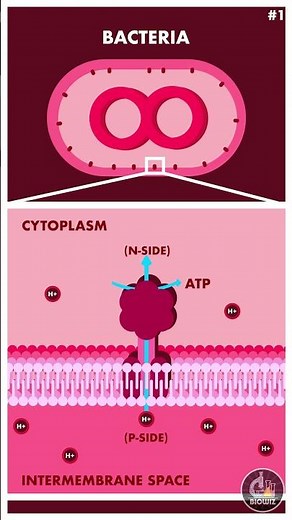 Biochemistry Shorts 01 #shorts