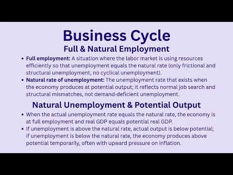 ECON 203 Project - Business Cycle