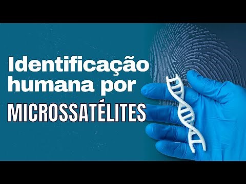 Human identification by microsatellite