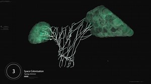 DNA_AADRL_Algorithmic Network Formations