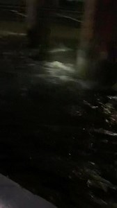 8.1K views · 113 reactions | The Baltimore City Fire Department wants to remind citizens to avoid at all cost attempts to drive or walk through standing or fast moving water. Doing so creates a dire life threatening hazard. “Turn around, Don’t drown”. Baltimore City Fire DepartmentBaltimore City Office of Emergency ManagementMayor Brandon M. ScottBaltimore Fire Officers IAFFBaltimore City Fire Academy | Baltimore City Fire Department | Facebook