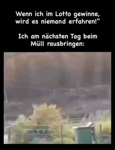 #veral #fry #everyone #lotto #gewinnen