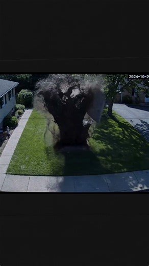 I wonder what caused the explosion #septictank #exploded