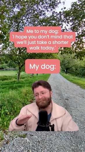 🐶⏳ Walk Budget Cut?! #dogowners #relatableshorts