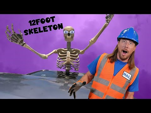 Building a 12-Foot Skeleton 🎃 Happy Halloween with Handyman Hal